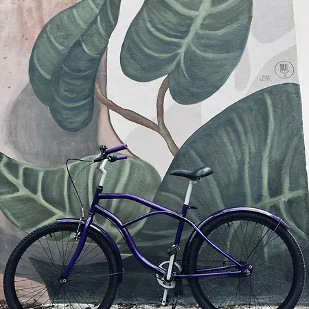 公寓 Urban Penthouse Free Parking I Rowery